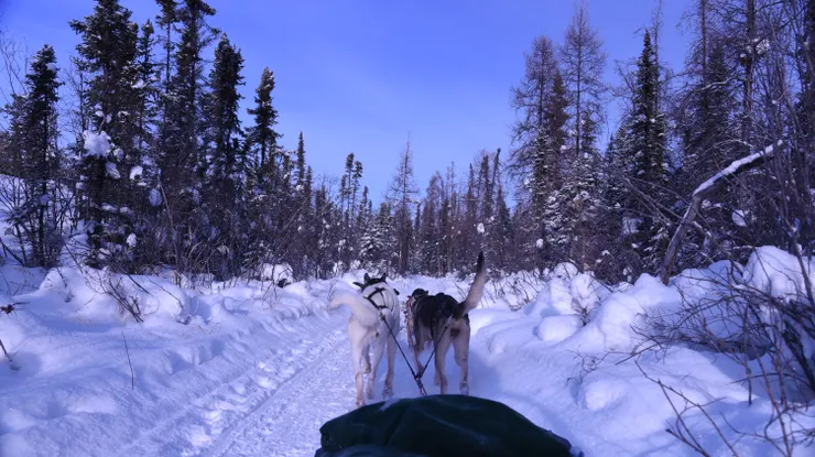 出發，沿著雪徑奔馳