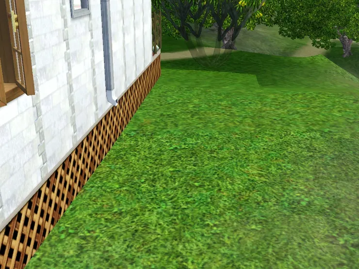 水管的水流到草上去...