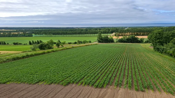 另一個方向的天空之路，通往海邊