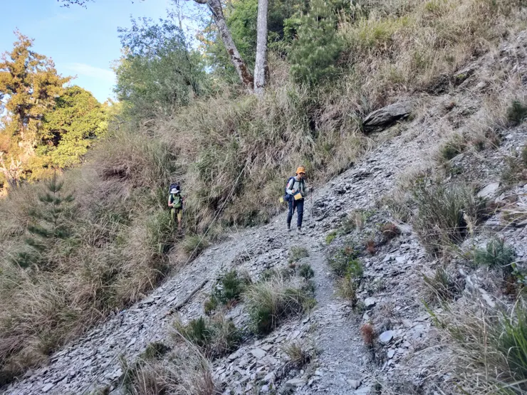 隨手留下Fely與Fly在林道上的剪影。