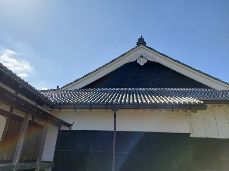 無意間拍出的彩虹