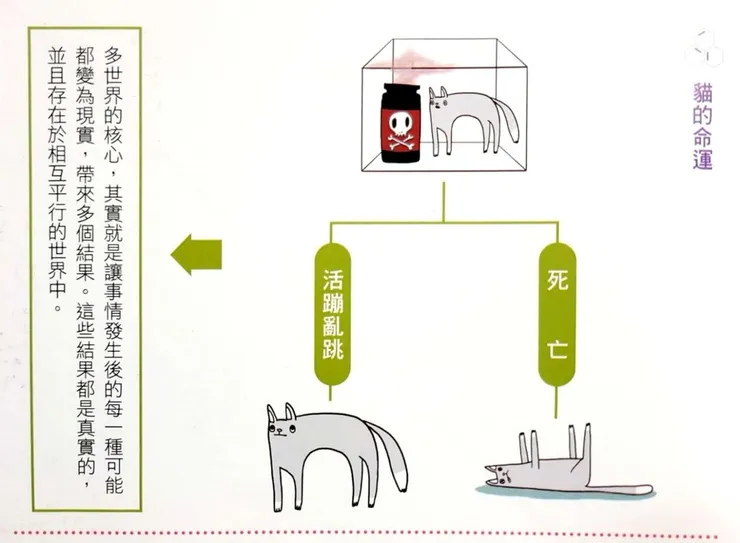 「多世界理論」就像「薛丁格的貓」讓人匪夷所思