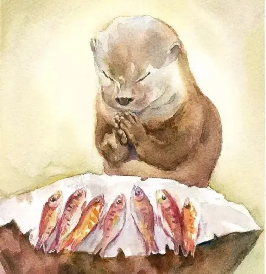 獺祭魚，台灣本島好似沒有水獺？只有金門有吧。