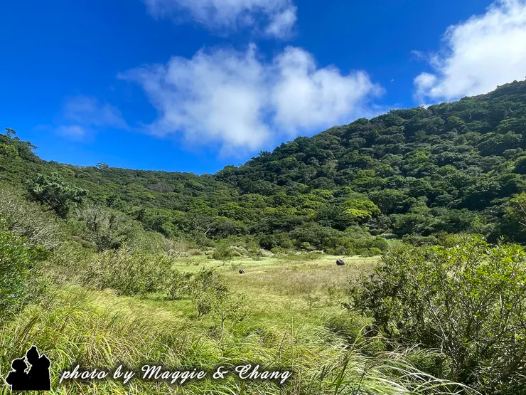 走到向天池時,發現池水裡竟長滿青草 🌾 聽說夏天沒水的時候就會這樣, 有點滄桑。