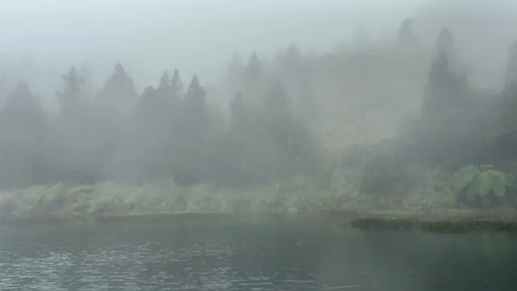 少了聯絡，卻沒有疏離。像霧中遠山，安靜卻真實地存在心底。 拍攝地點：陽明山夢幻湖