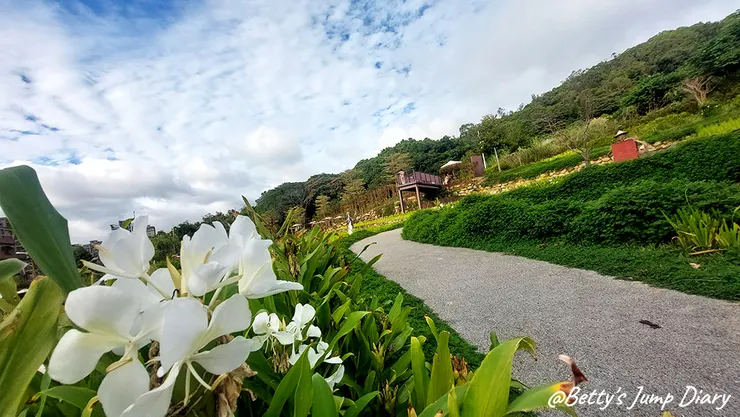▲大有梯田生態公園/圖片來源：Betty's Jump Diary