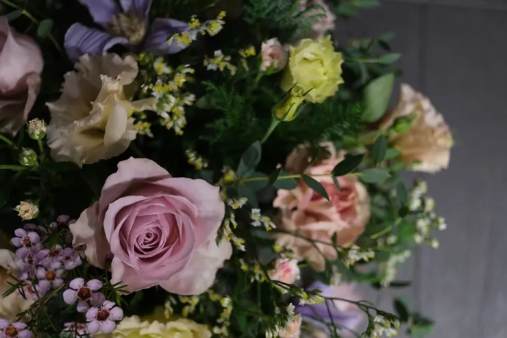 喜歡左下角可愛的粉臘梅