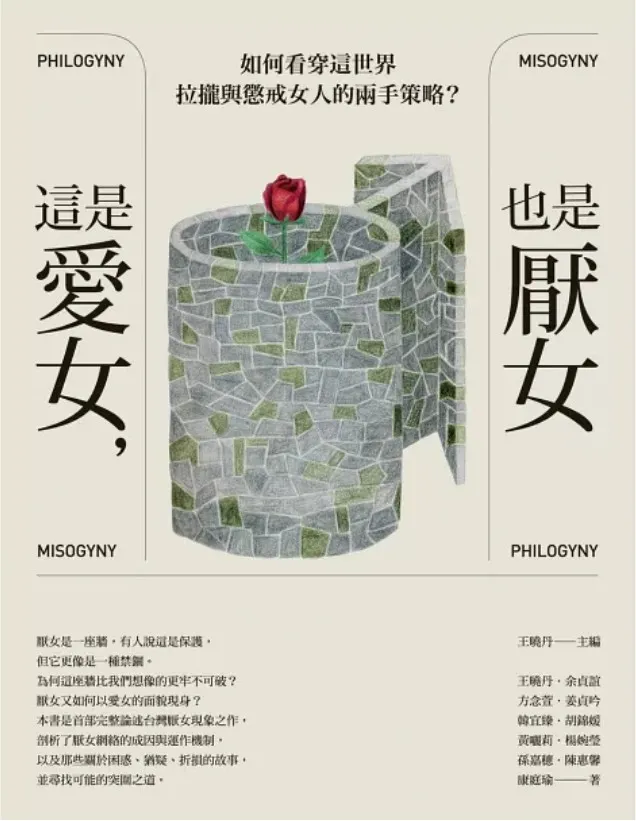 《這是愛女,也是厭女》書封
