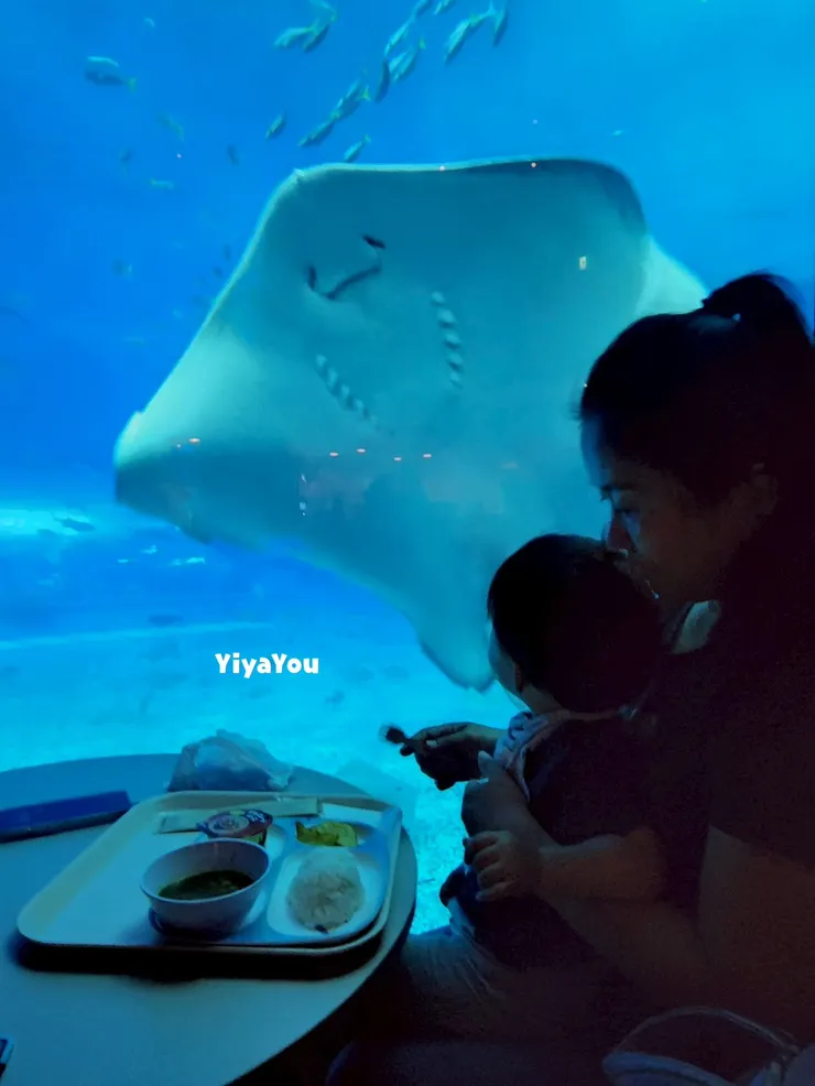 水族館一樓的Ocean Cafe指定景觀席，餐點不怎麼樣，景色一級棒