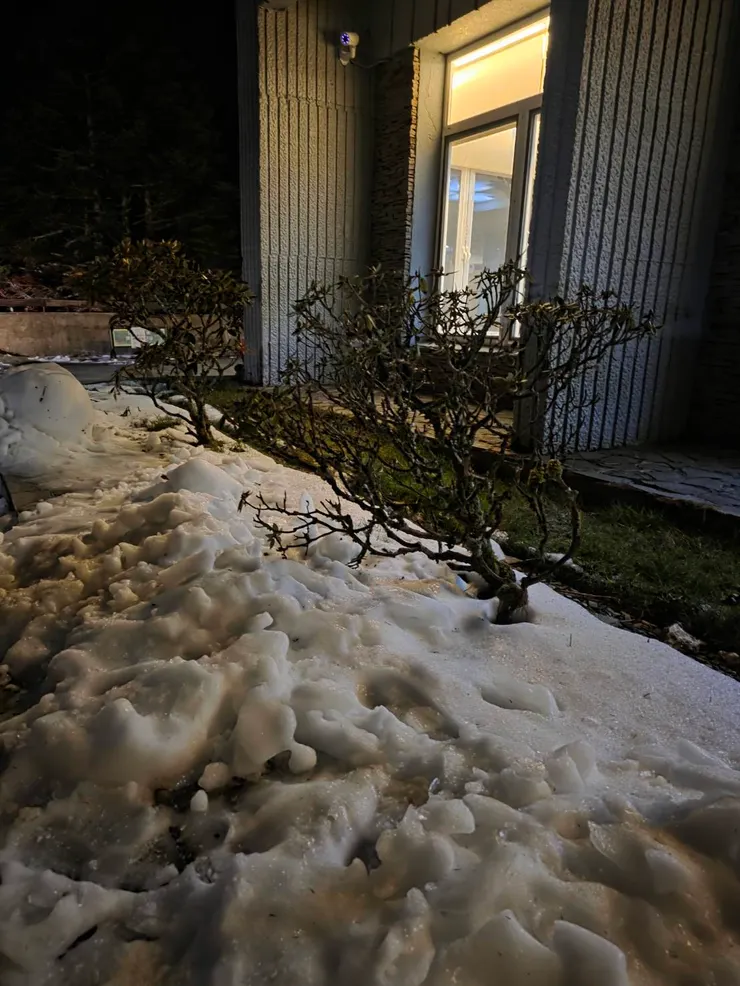 一開始看到雪好興奮呀