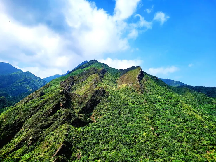 9:10來到一處開闊地，山友稱之為觀龍坡，可眺望劍龍鋸齒稜及東北角海岸，接著下切至半屏溪谷。
