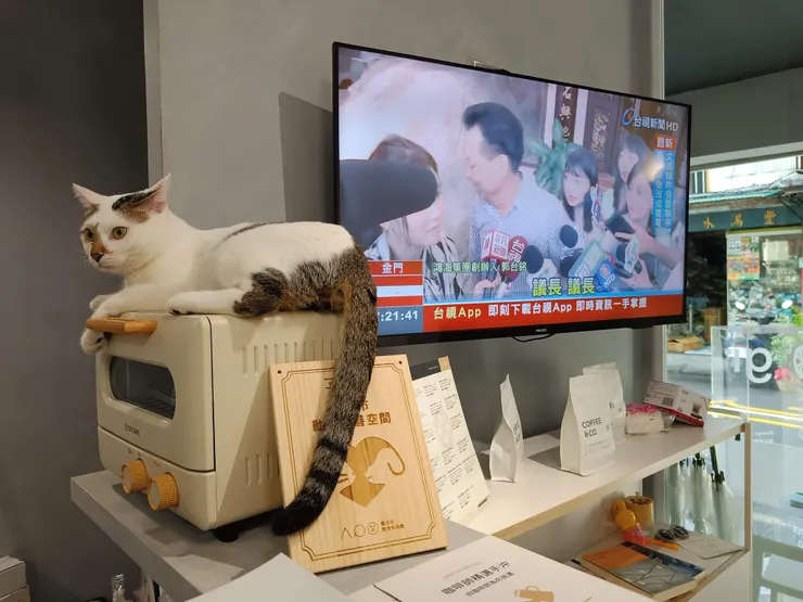 貓就臥在烤箱上