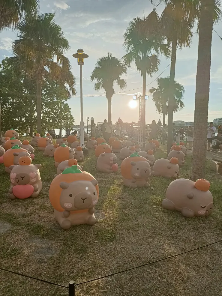 看胖拉，順便看夕陽