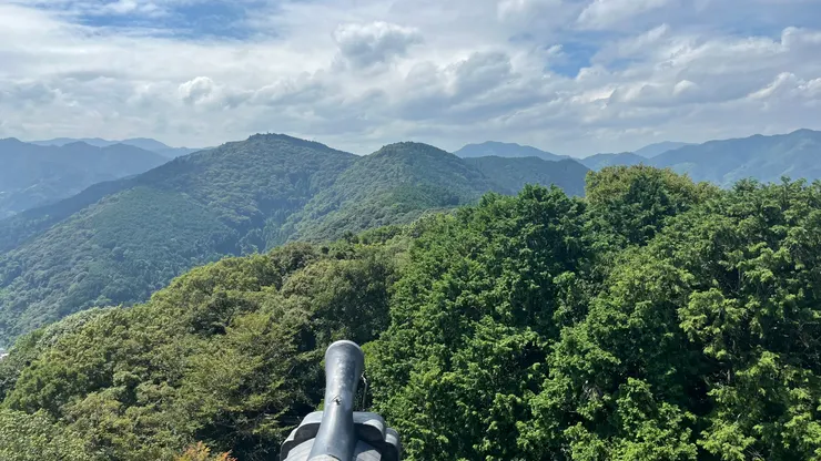 這樣的景色看著也舒服。