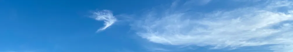 ✿ 喬治熊的樹洞 ✿