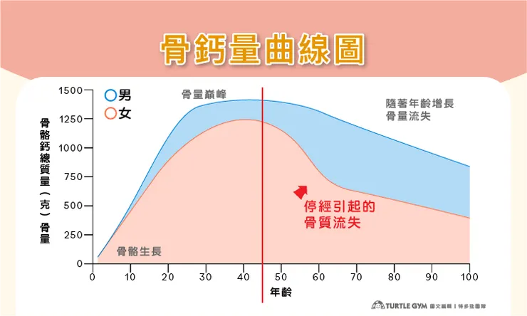 圖片來源 : TURTLE GYM銀髮健身房