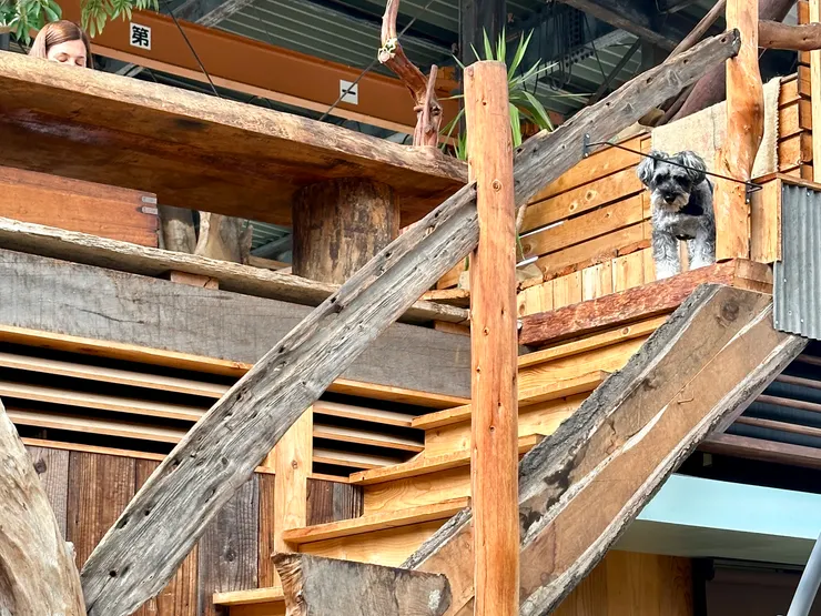 Okaffe ROASTING PARK