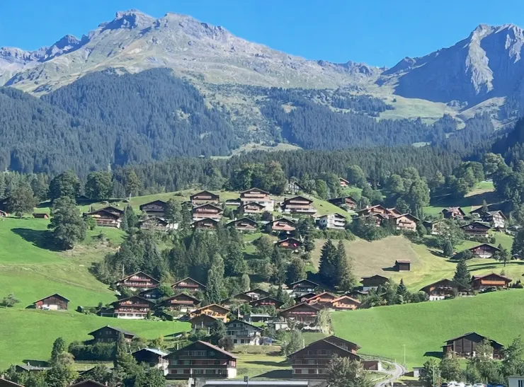 從纜車往下看的風景