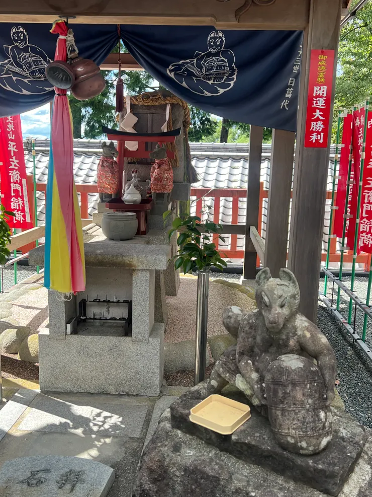 其他地方少見的肌肉狐狸