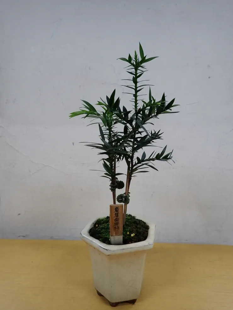 中山社大114.05.29