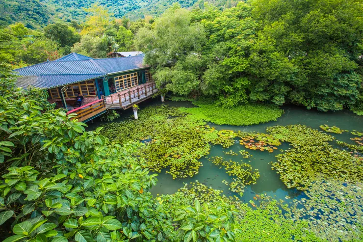 花蓮光復馬太鞍溼地