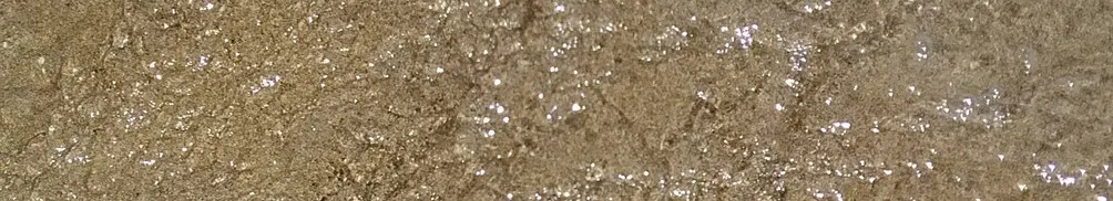 邊角女力的沙龍