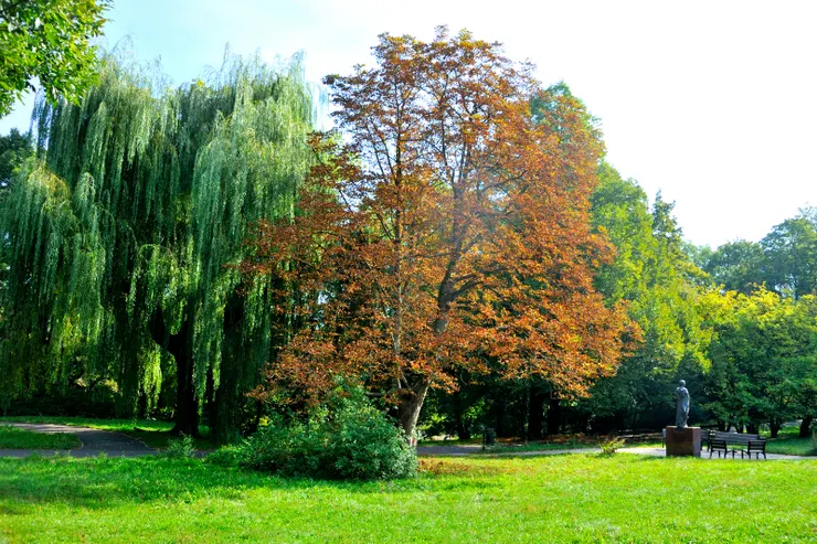 【哈利娜紀念碑倒不給人違和感！右側可見Halina Mikołajska（1925–1989）紀念雕像，她為知名的波蘭女演員，同時也是波蘭人民共和國時期支持民主運動的活動家。】