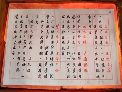 📿 《Amana的行腳禪日記｜12｜放之自然，歸於安穩》