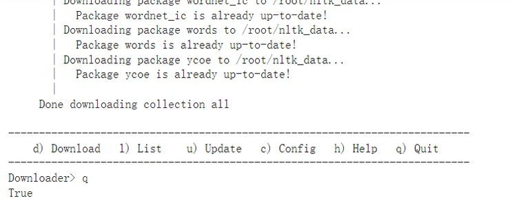colab上的下載畫面