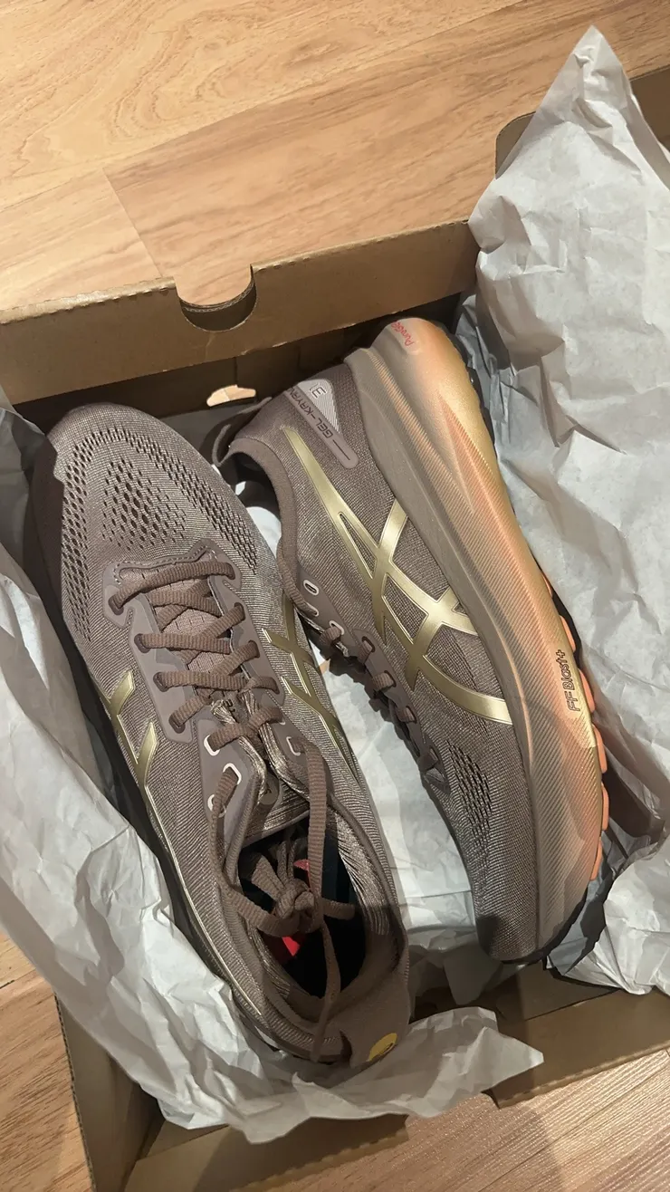 最近在越南旅遊時購入的 Asics Kayano 31，還在熟悉當中，一開始穿的時候覺得還是偏軟，不過穿了四五次後，鞋墊逐漸成形，開始感覺到支撐。