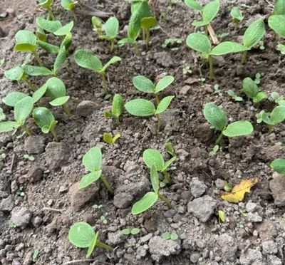 手怎麼可以那麼...殘阿~~~