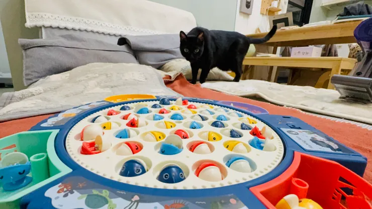 新玩具（可惜外甥們玩不到了）