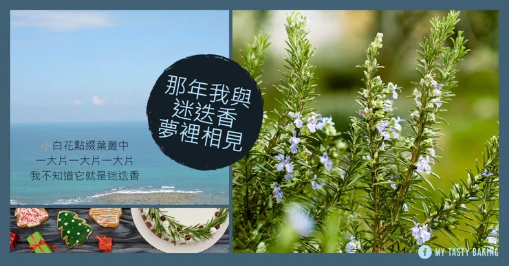 夢中迷迭香／設計