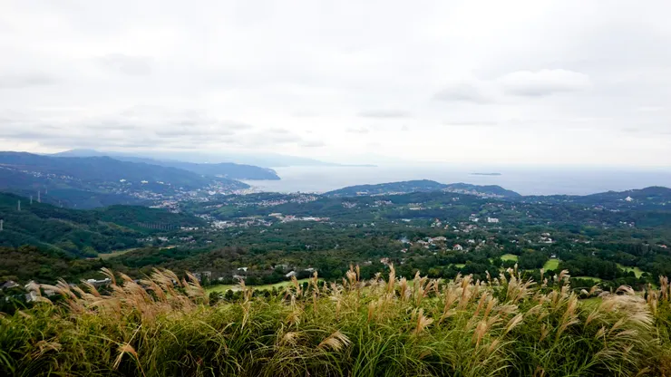 伊豆半島樸實靜謐的魅力。