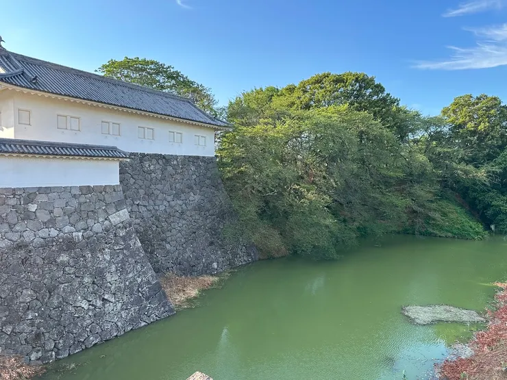 自己腦補一下這些樹都變成粉紅櫻花樹的畫面，下次我們春天再來吧！