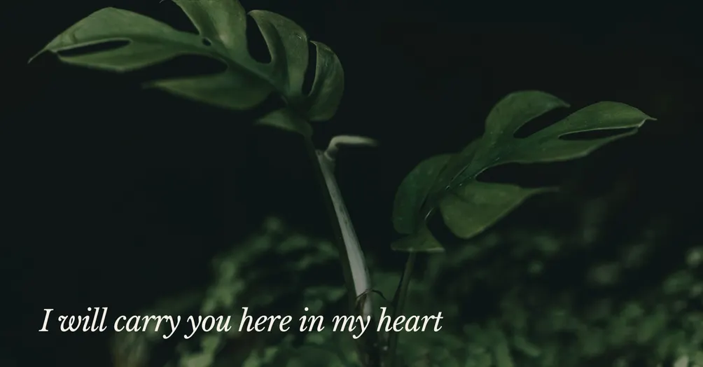 娜我陪你談心室