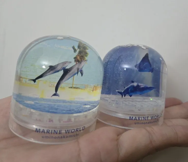 扭蛋-海豚款&深海鯊魚+魟魚