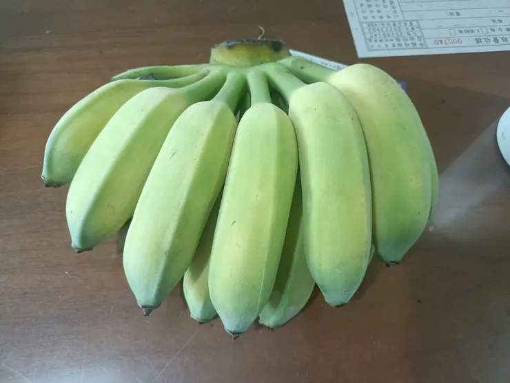 父親節禮物（老爸送我的芭蕉）