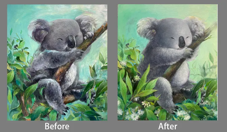 無尾熊的before  &  after