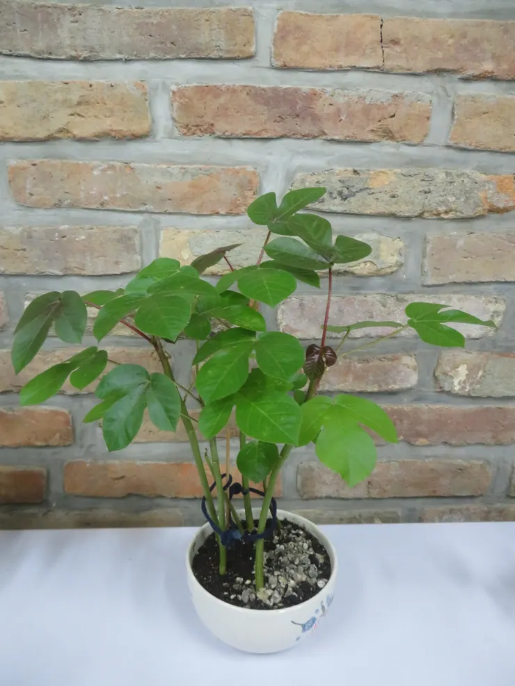 淡水社大112.06.20