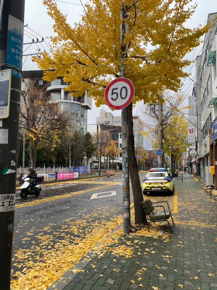 拍攝於首爾街道