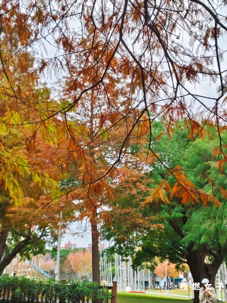 紅、黃、綠色的交織,這是大自然最天然的調色盤。