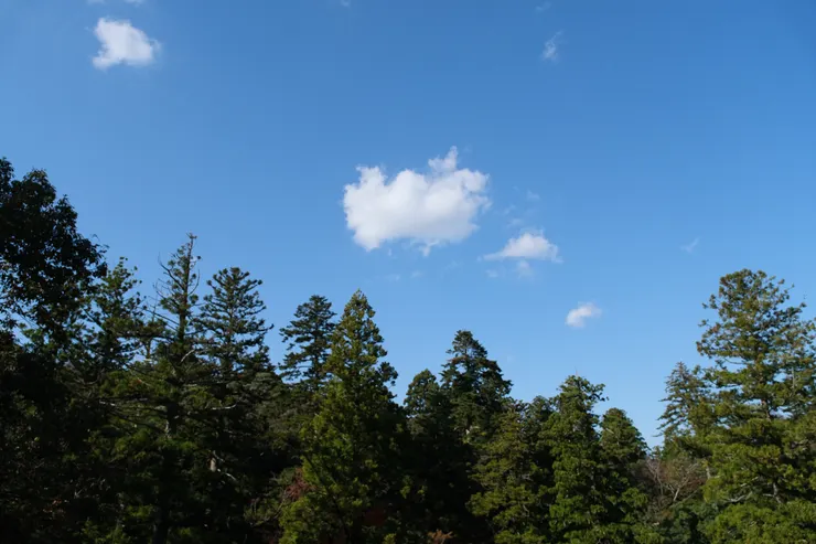  飄來的雲也好有意境
