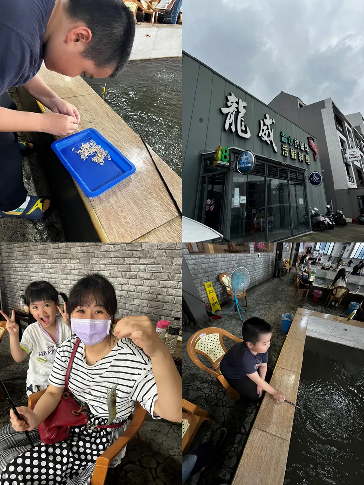 雙寶老爹006208定期定額全記錄，2025年05月