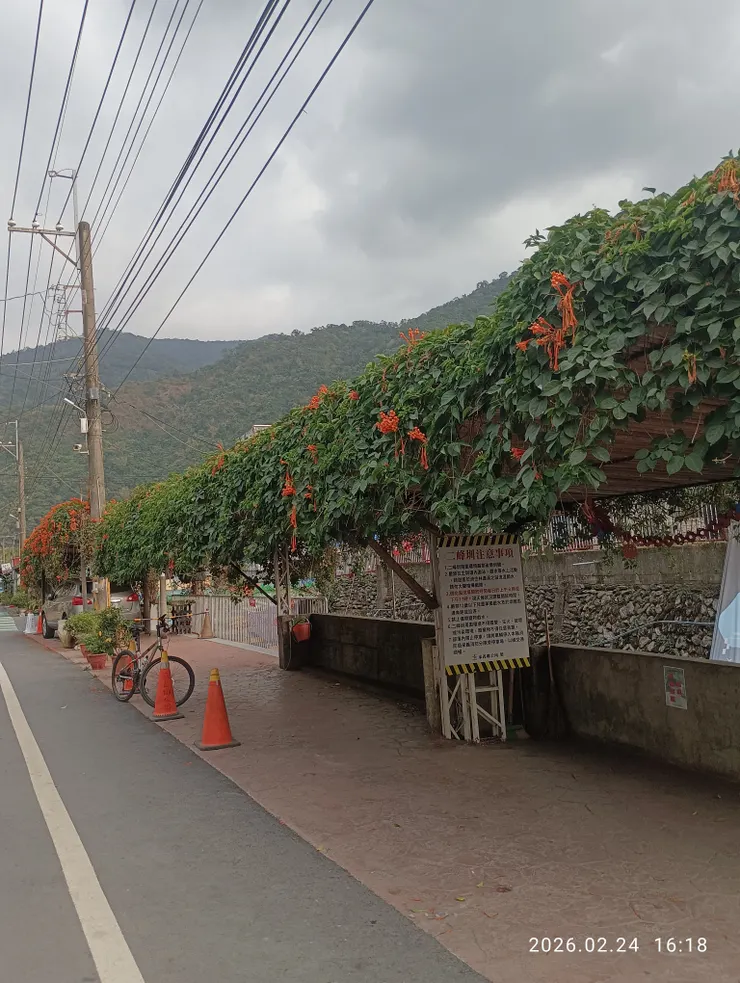 莫輕棄清景語訴