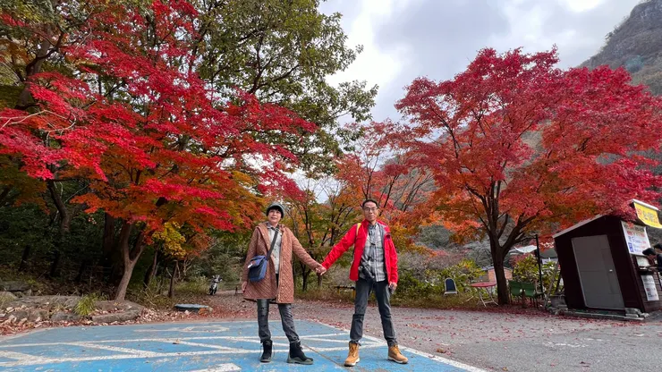 韓國內藏山楓紅