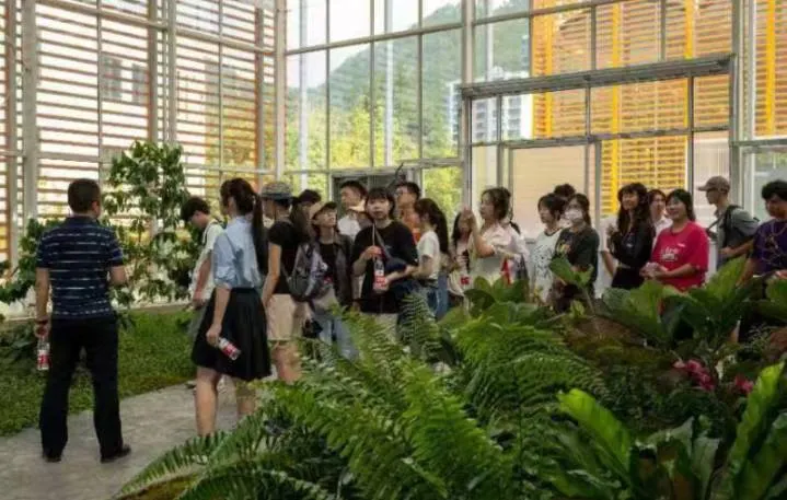 ▲臺灣嘉義大學與麗水職業技術學院開展森林生態文化交流。（圖/莊翱宇 翻拍提供）