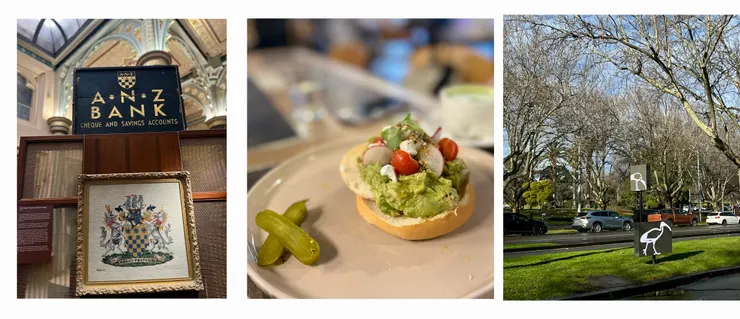 ANZ 銀行博物館、Manchester Press 酪梨貝果、難得可愛的垃圾鳥(Bin Chicken)。