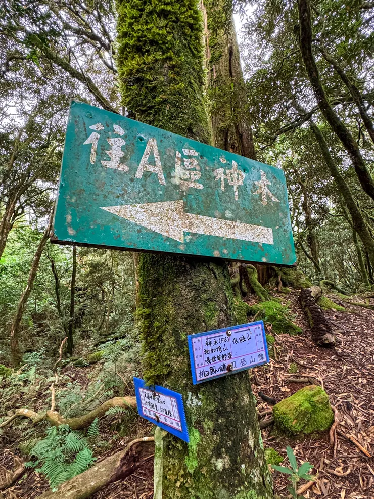 三叉路的路牌抵加。