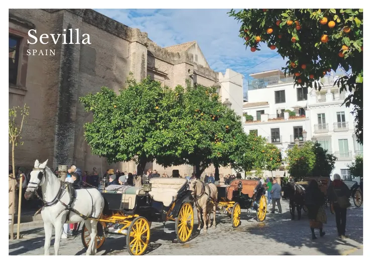 賽維亞街景，點我購買明信片與書籤！